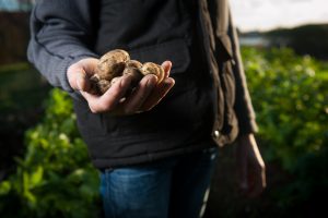 Agriculture suisse